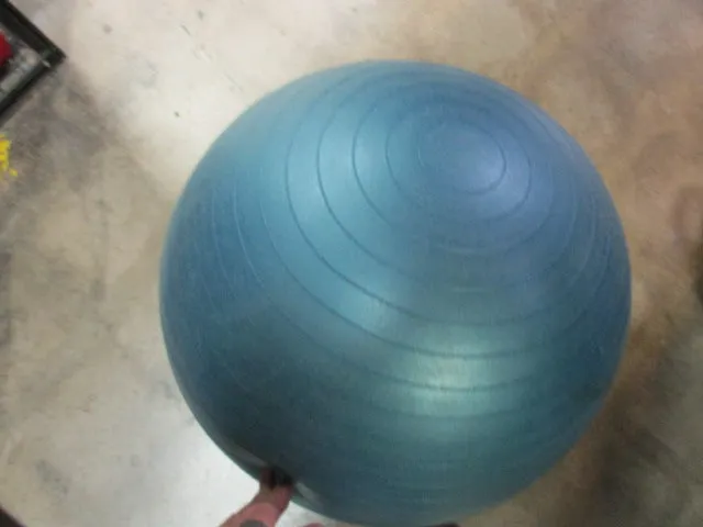 Used Sports Authority BodyFit Blue Exercise Ball